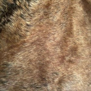 Restoration Hardware Blanket KodiacBear